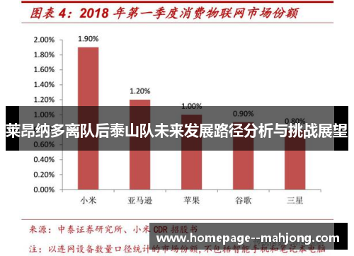 莱昂纳多离队后泰山队未来发展路径分析与挑战展望