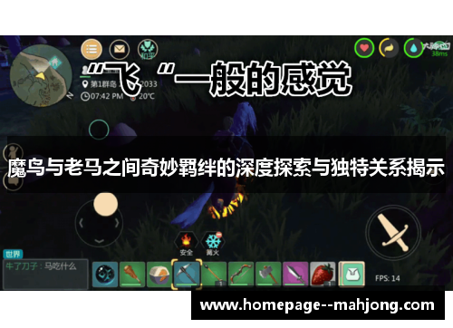 魔鸟与老马之间奇妙羁绊的深度探索与独特关系揭示