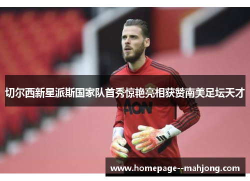 切尔西新星派斯国家队首秀惊艳亮相获赞南美足坛天才