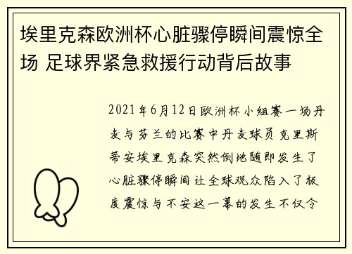 埃里克森欧洲杯心脏骤停瞬间震惊全场 足球界紧急救援行动背后故事